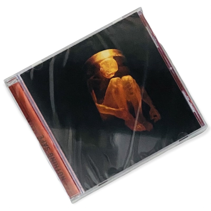 CD IMPORT ORIGINAL - ALICE IN CHAINS Nothing Safe New Amd Sealed ...