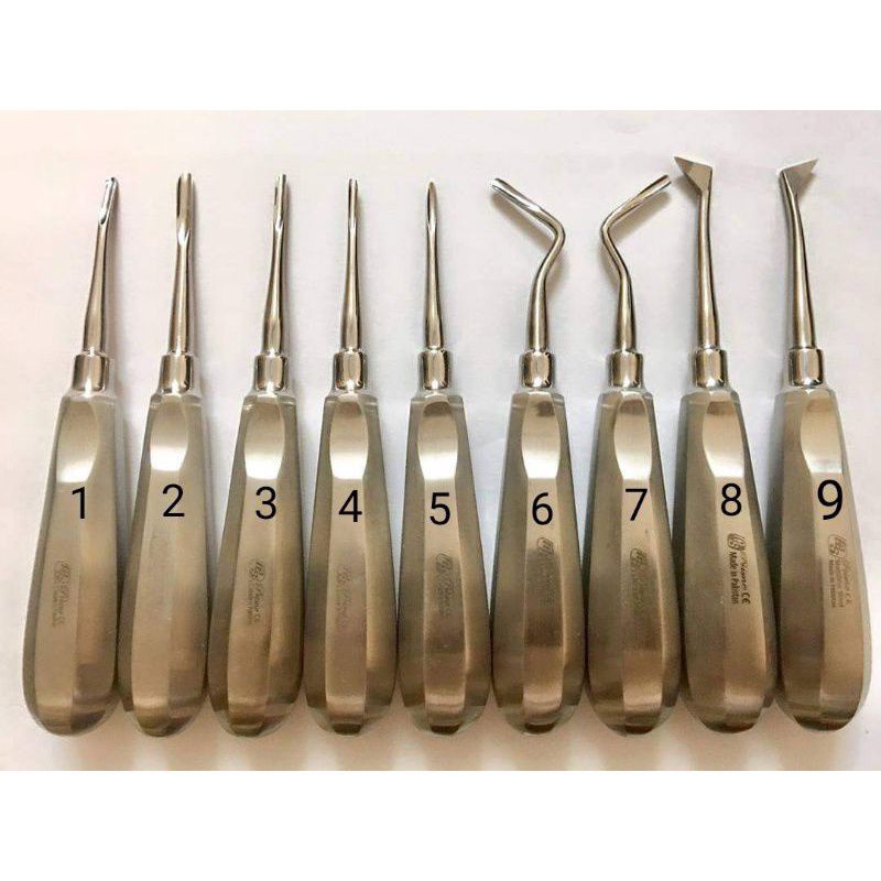 Seven teeth pakistani retail | Shopee Malaysia