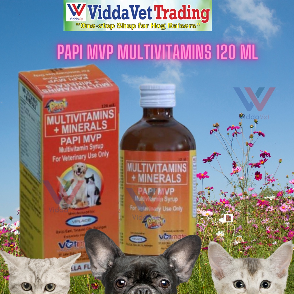 Papi MVP MultiVitamins + Minerals Syrup 120ml Vanilla flavor for Pets ...
