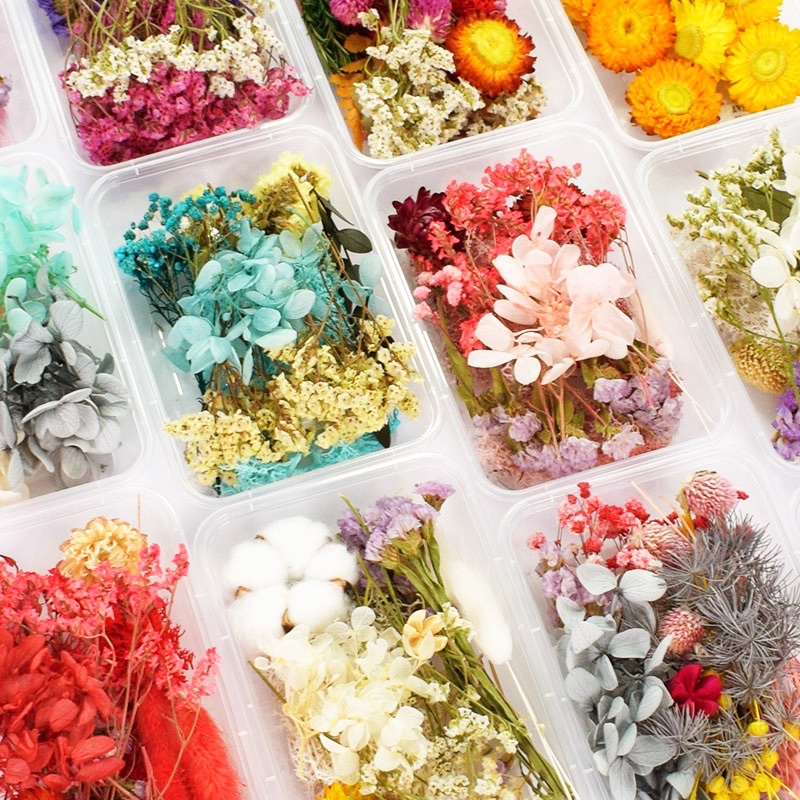 Box of Natural Dried Flower Set l Preserved Flower | Bunga Hiasan | DIY ...