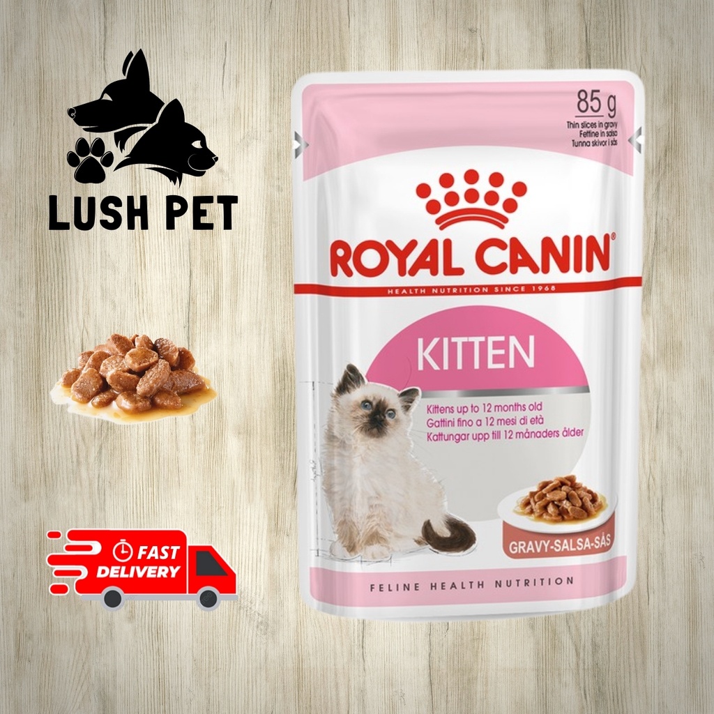 Royal canin outlet kitten gravy salsa