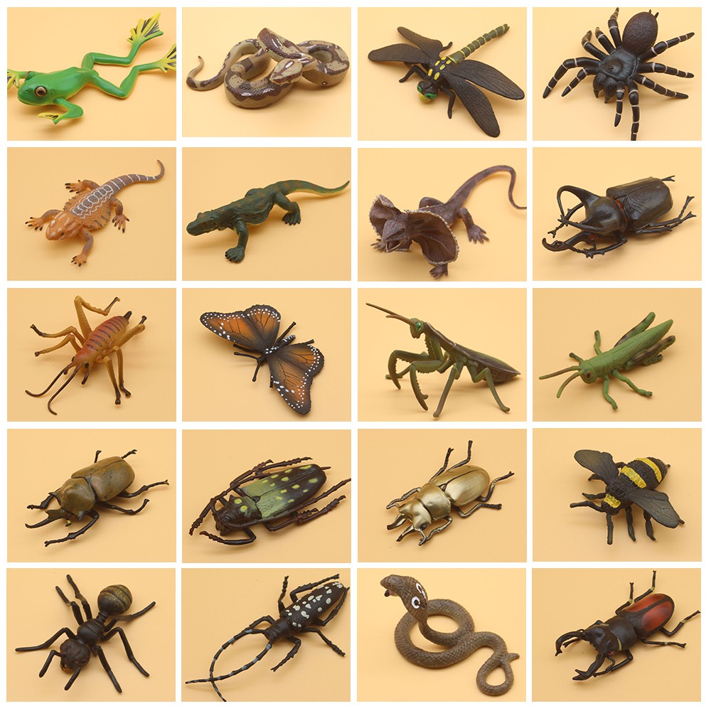 【Spot】Insect Animals Model Butterfly Mantis Spider Bee Frog Lizard ...