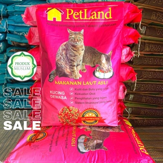 Petland kitten outlet prices