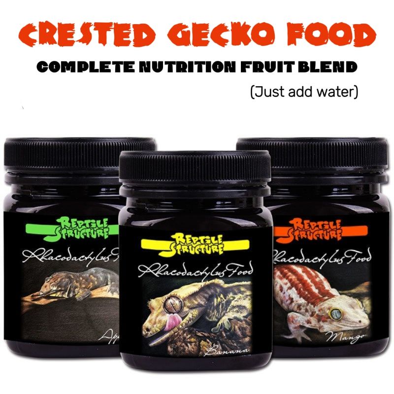 (NEC) Reptile Structure Crested Gecko Food Reptile fruit blend complete ... - Complete Snake Nutrient