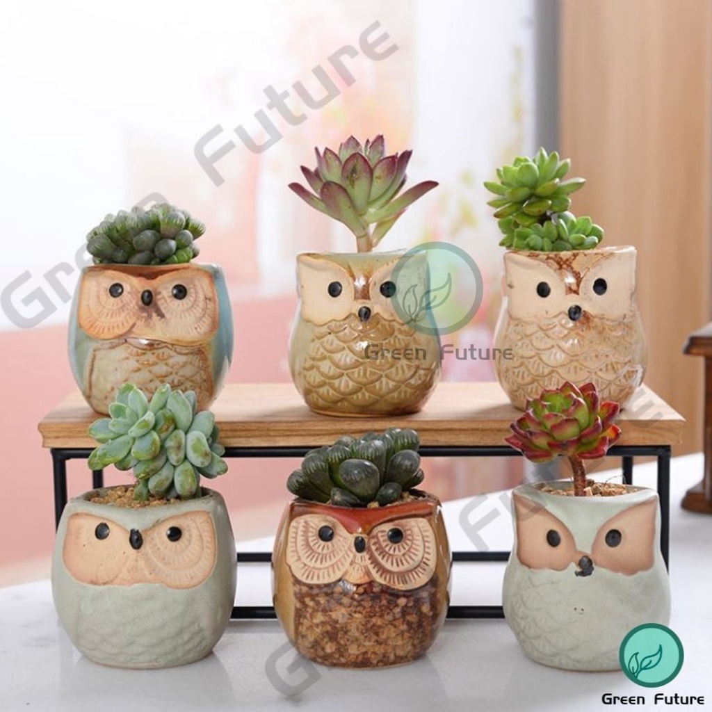 Succulent Pot Cactus Pot Ceramic Pot Zakka Minimalism Planter Pasu Seramik Putih Kaktus Owl 多肉花盆 7786