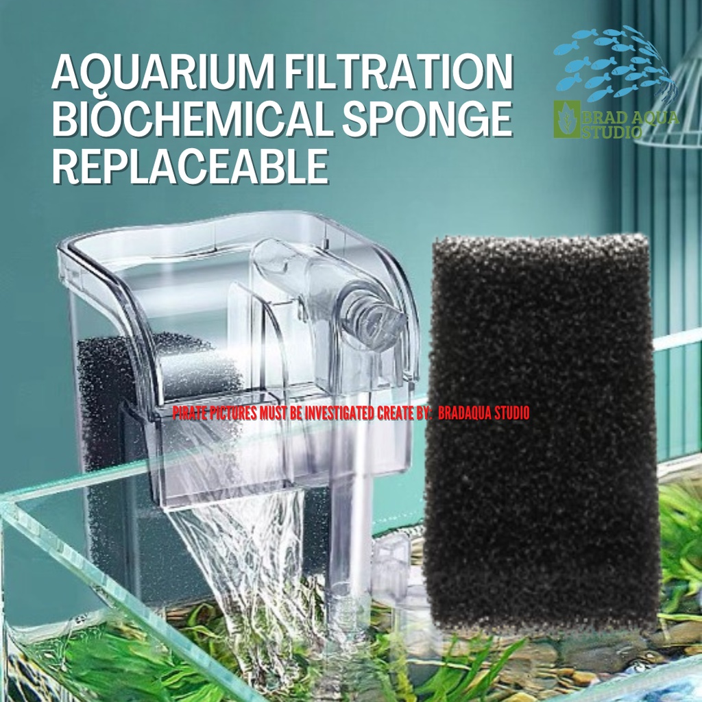 AQUARIUM Filtration Biochemical Sponge Replaceable 1Pcs | Shopee Malaysia