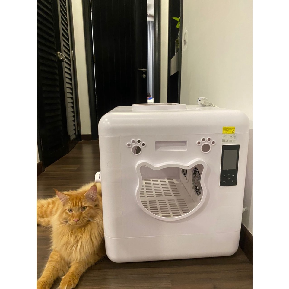 Cat drying machine sale