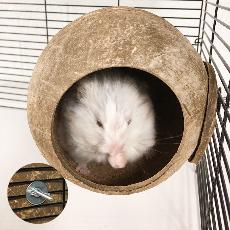 Hamster Coconut Hide House Wood Hamster Toy Hamster Nest Coconut Shell ...