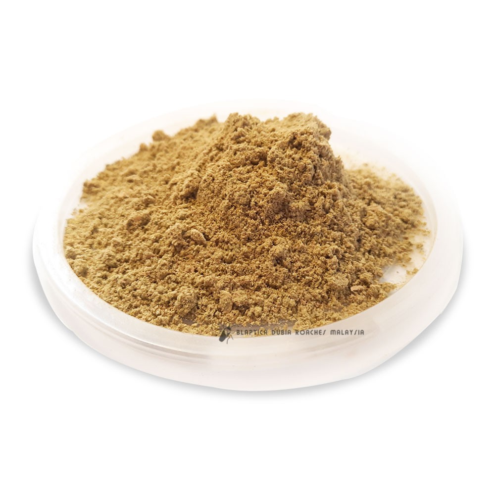 Dubia Roach Chow Premium (Food Source) Shopee Malaysia