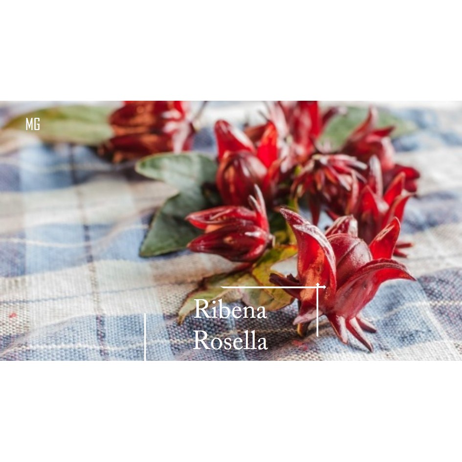 Roselle Ribena Seeds - 30 seed *Pot Friendly* Tanam Pasu, Rozel Merah ...