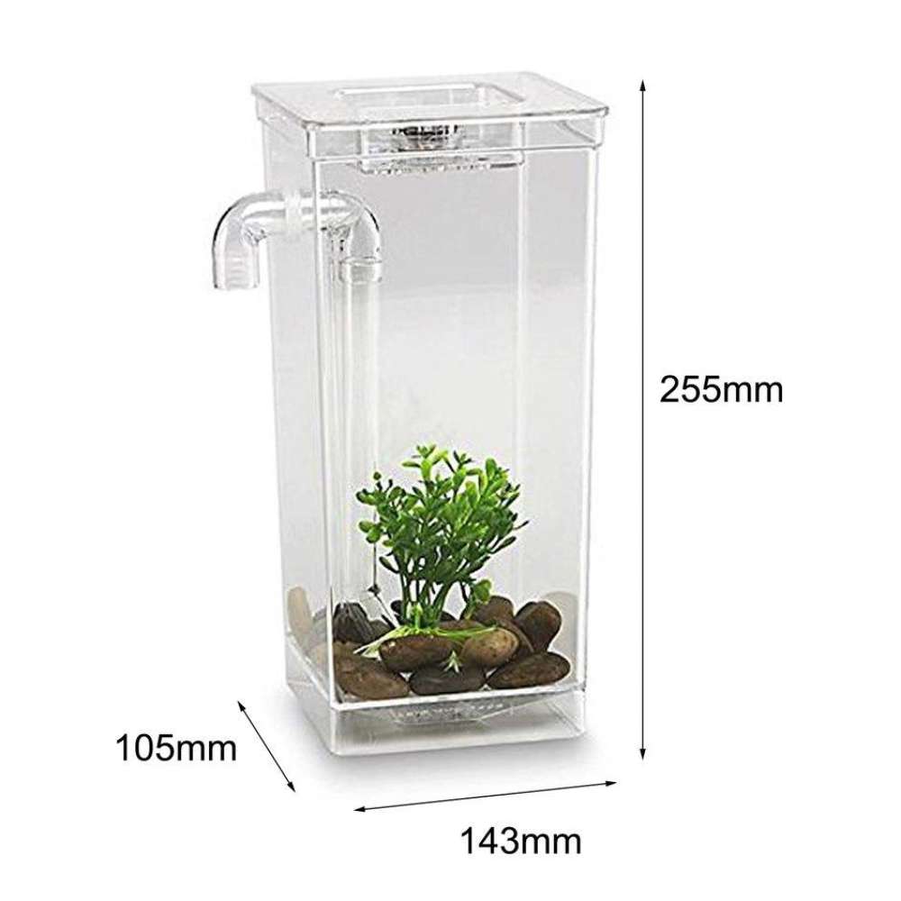 Fish My Home Fun Office Auto Cleaning Mini Aquarium Complete Set with ...