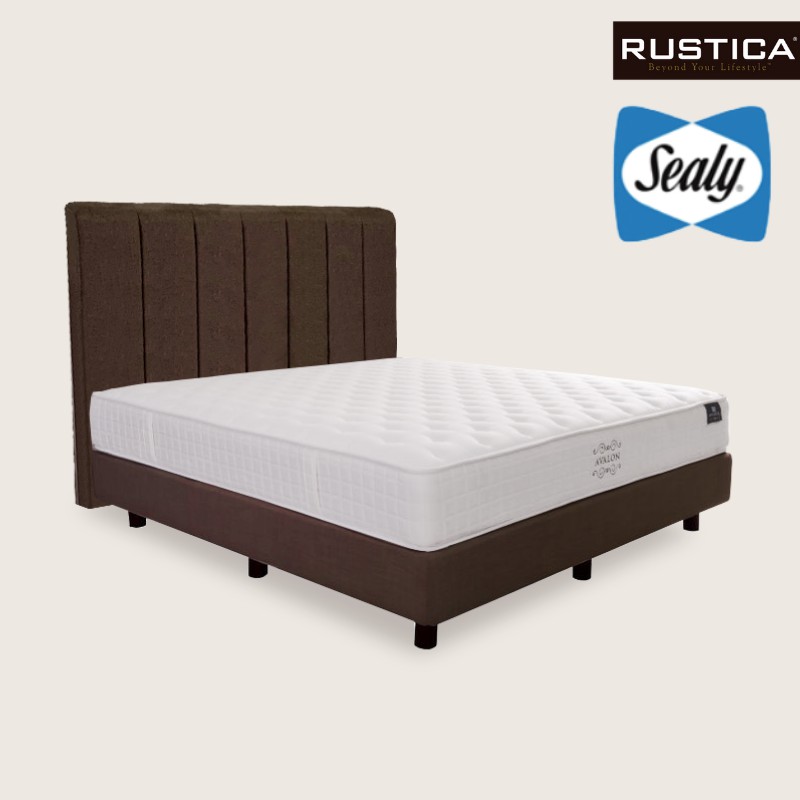 Sealy back on sale saver mattress