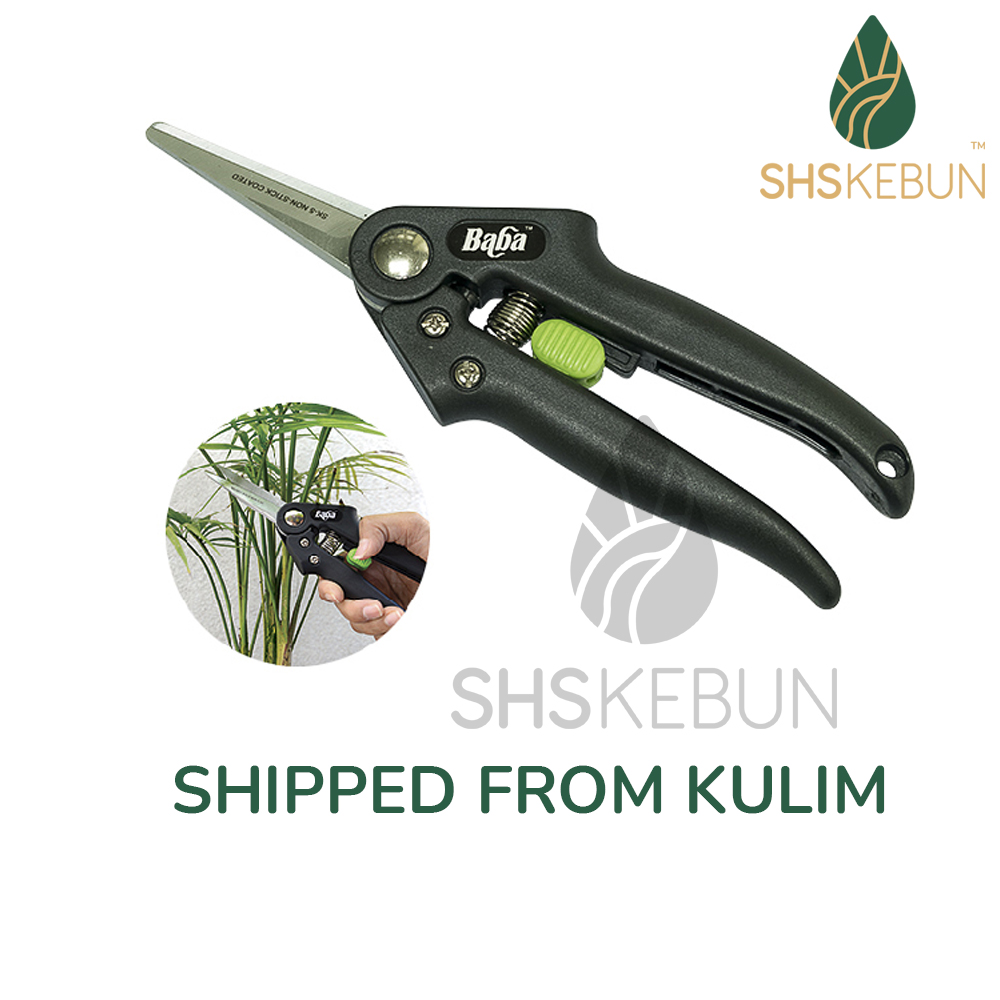 Baba GP-1004 Basic Flower Snip Scissor Gunting Pokok dan Daun SHS Kebun ...