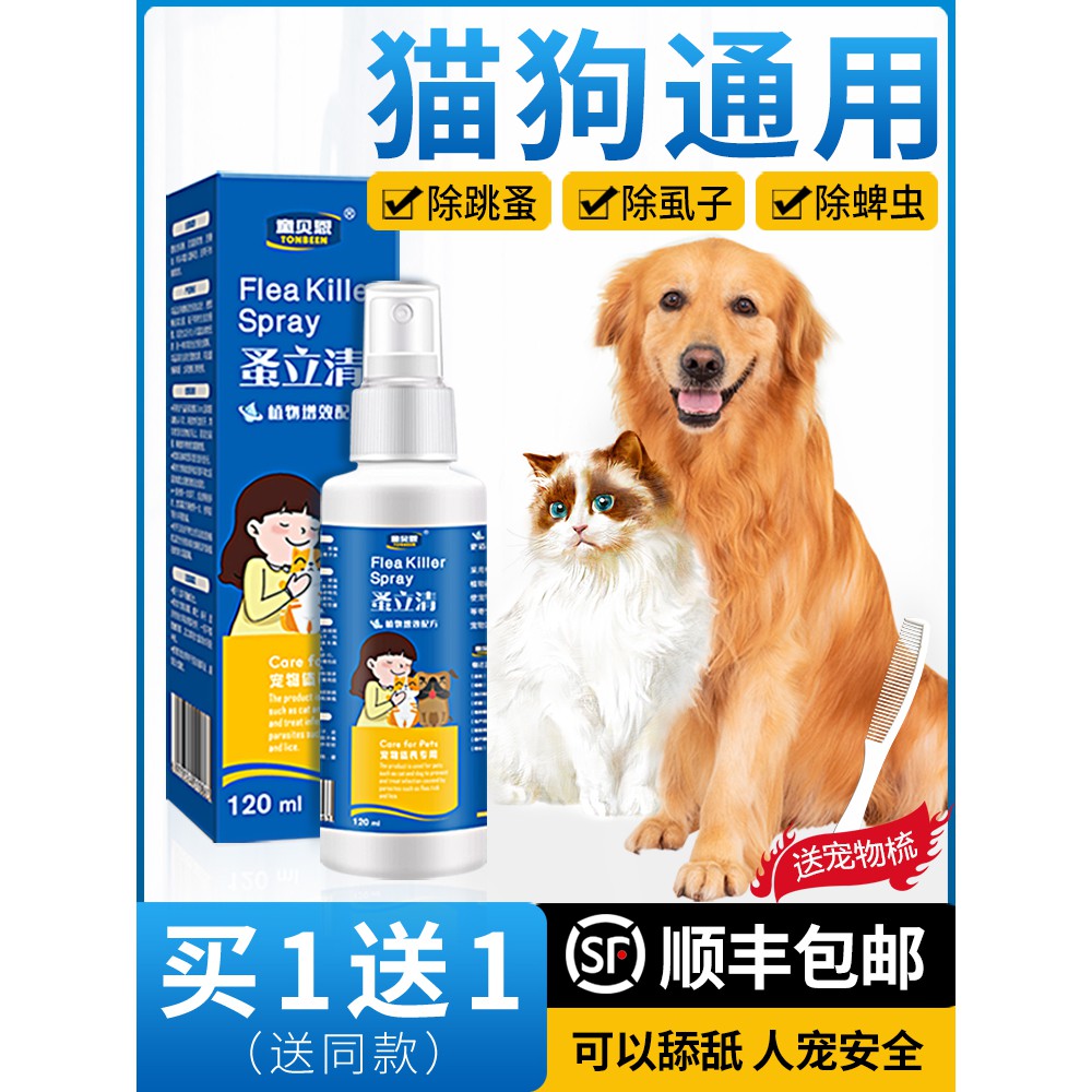 There Are Flea Spray Dog Animals on the Puppy, and the Dog Uses Jumping