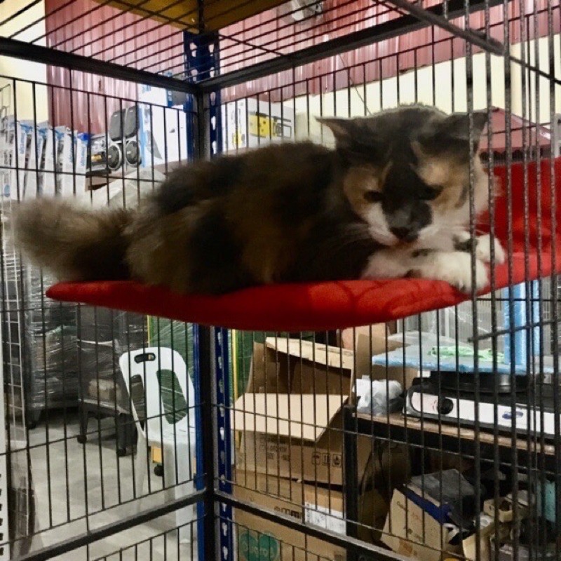 radiator hammock for cat 🐈 Shopee Malaysia