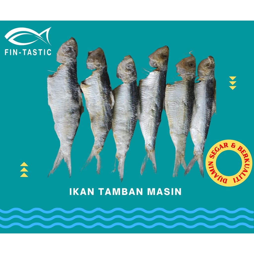 Ikan Tamban Masinkering Tanjung Dawai Shopee Malaysia 0919