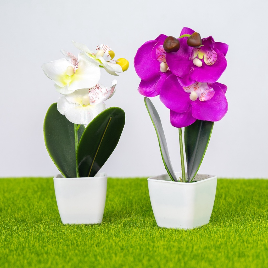 Artificial Moth Orchid with White Pot / Artificial Orchid / Artificial ...