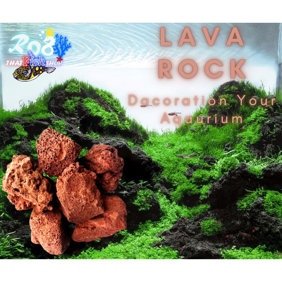 Lava Rock For All Type Freshwater Fish Planted Tank & Aquarium Use (2kg