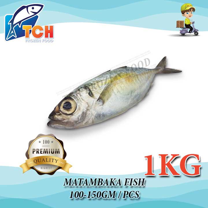 IKAN MATA BESAR, MATAMBAKA ,TCH FROZEN FOOD,FRESH FROZEN SEAFOOD ...