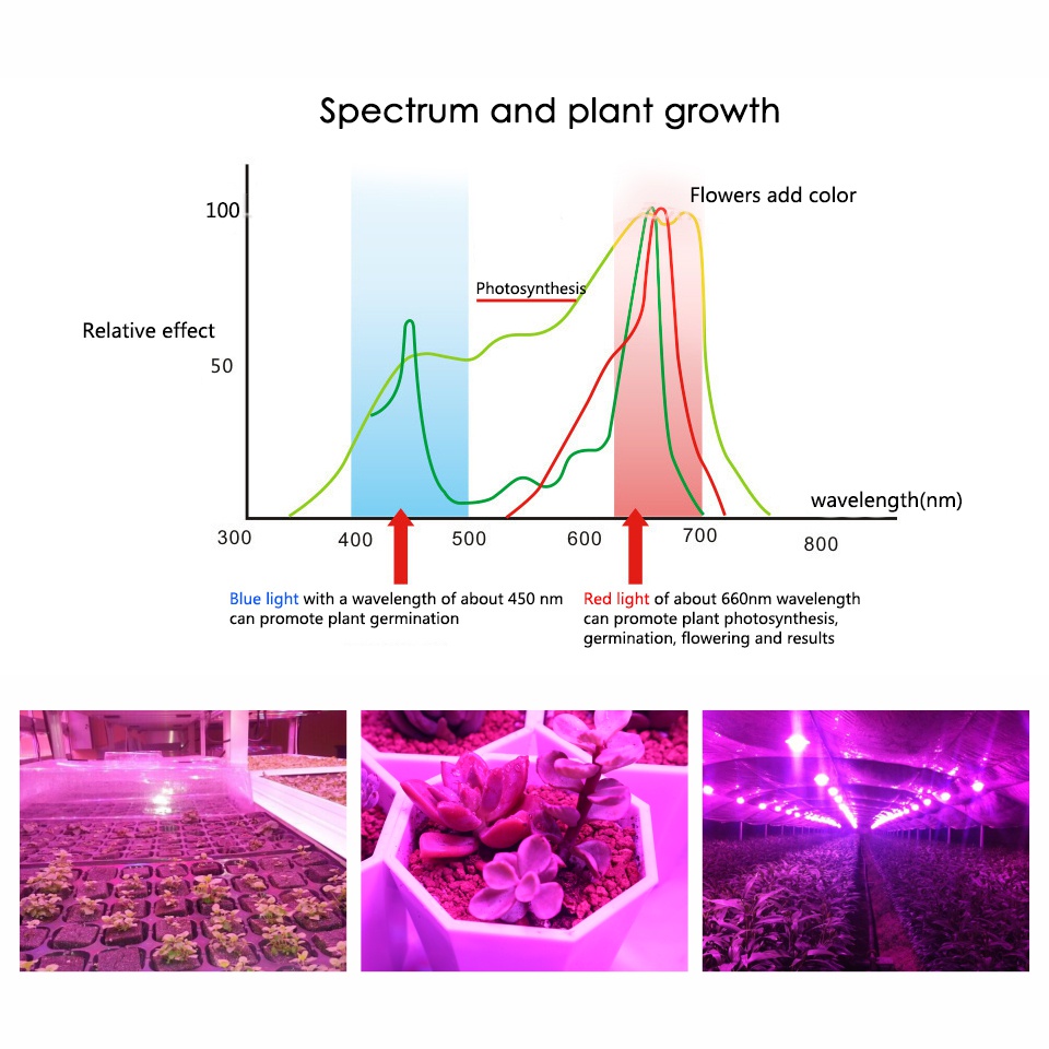 Got Liang LED Grow Light Full Spectrum E27 UV IR LED Growing Bulb for ...
