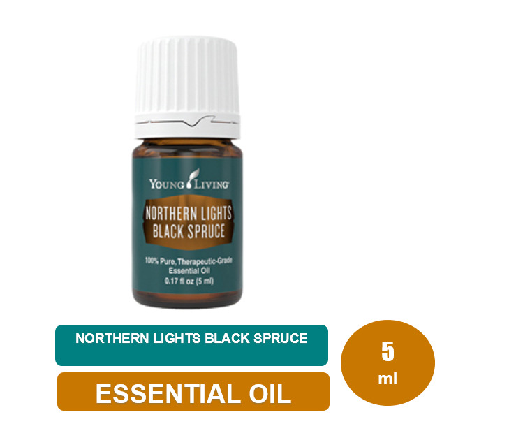 Young Living Northern Lights Black Spruce 5ml Shopee Malaysia