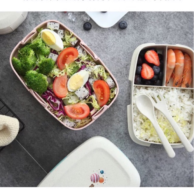 Wheat Rice Box Microwave Safe | Shopee Malaysia