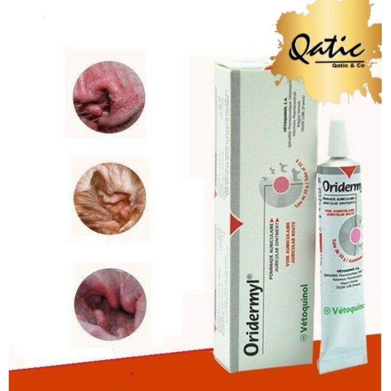 Ear Treatment Ointment For Cat and Dog 10g Shopee Malaysia