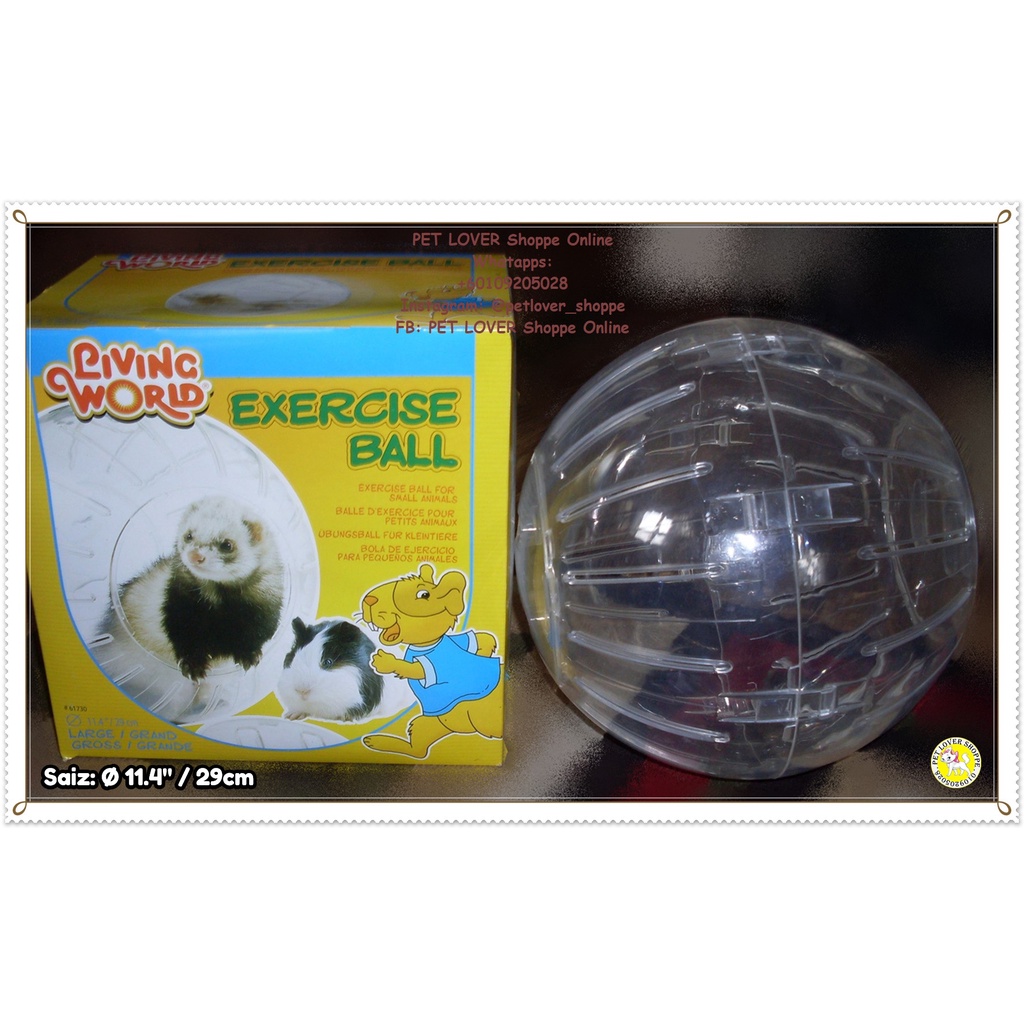 Hamster store ball shopee