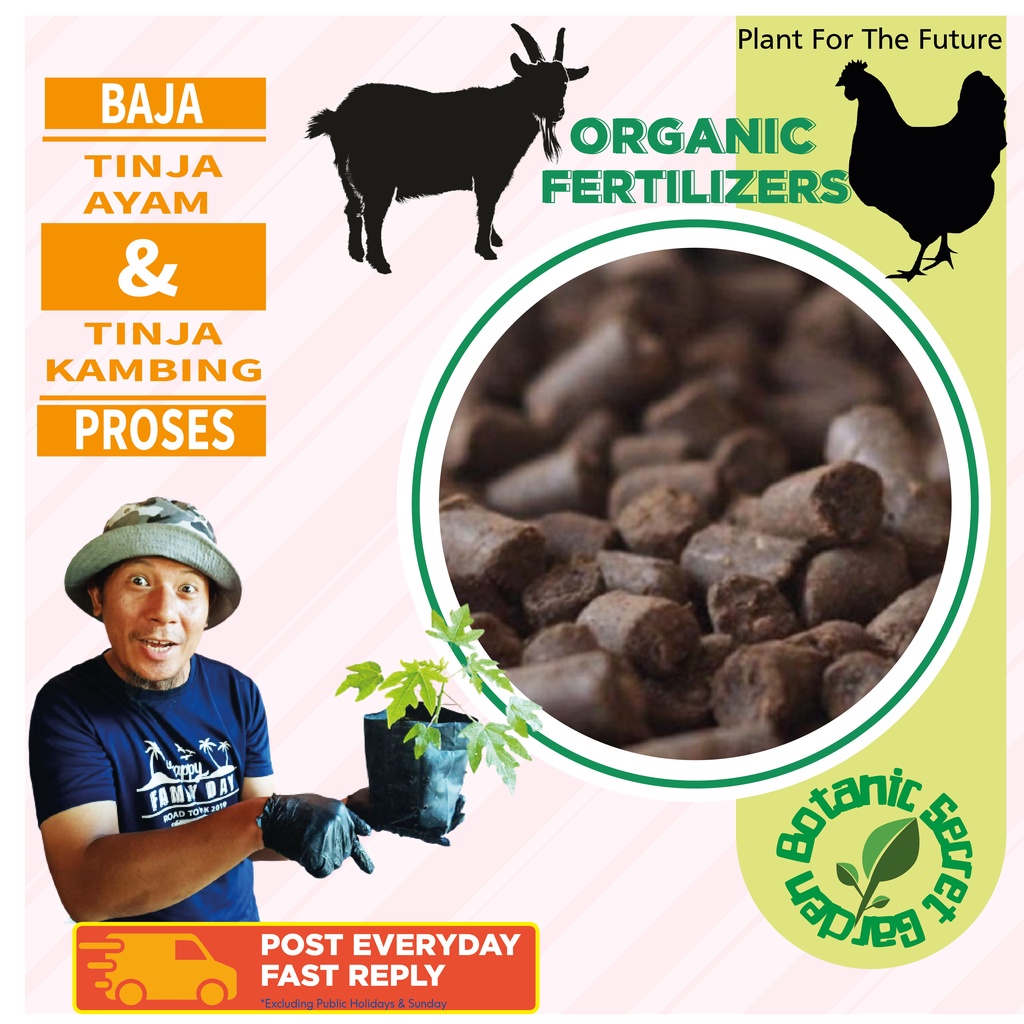 Baja Organik Tahi Ayam Tinja Kambing Proses Kompos Organic Fertilizer ...