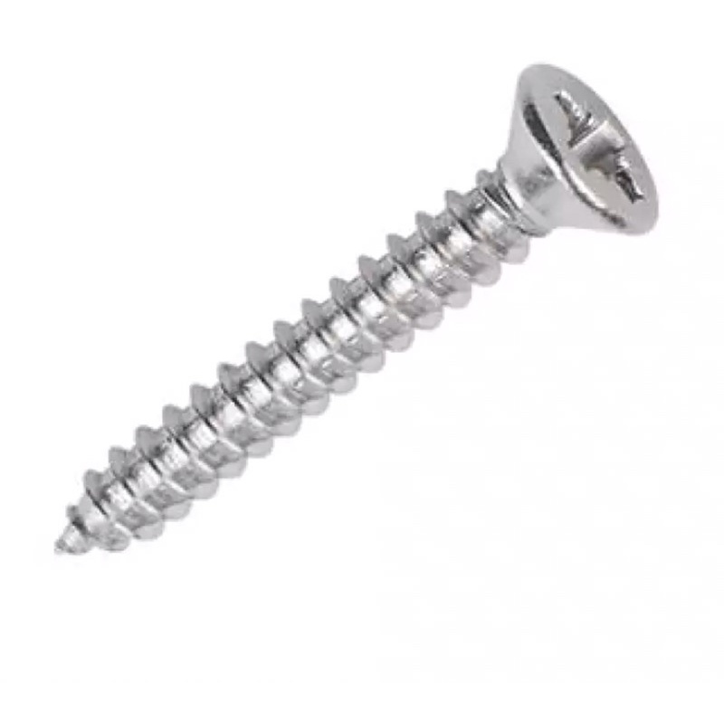 Arrow Self Tapping Screw 10# x 1” flat head / skru tajam saiz 10# x 1 ...