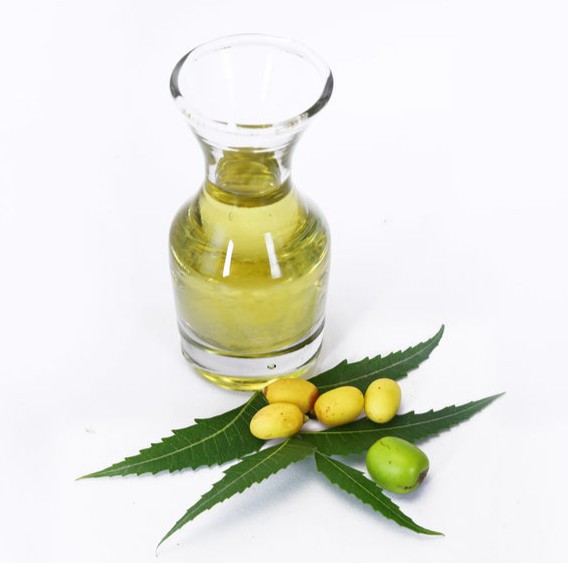 Neem Oil Cosmetics Grade Shopee Malaysia