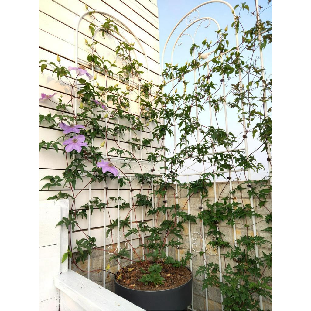 Climbing flower racks/// Garden Climbing Frame Climbing Pergola Fence