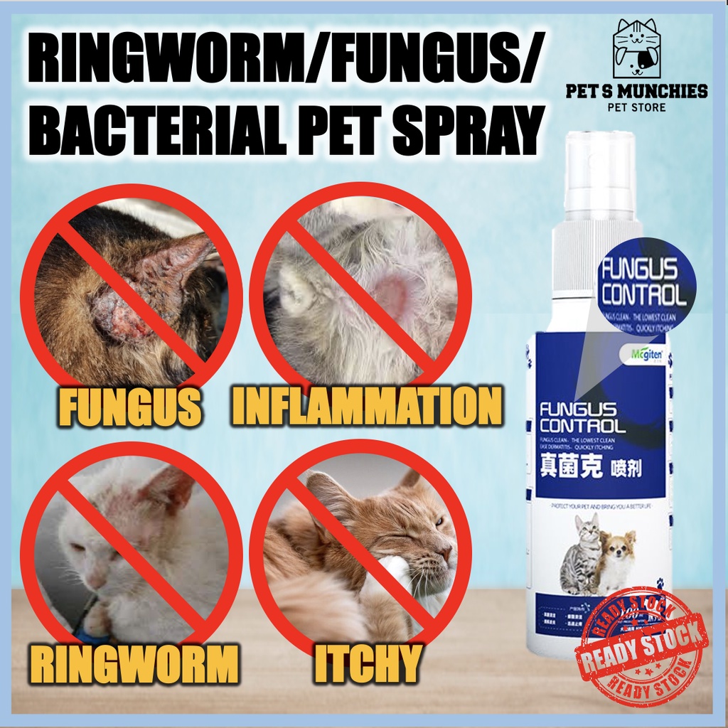 Ubat Kurap Kucing Nano Silver Pet Fungus Spray Semburan Kurap Kucing