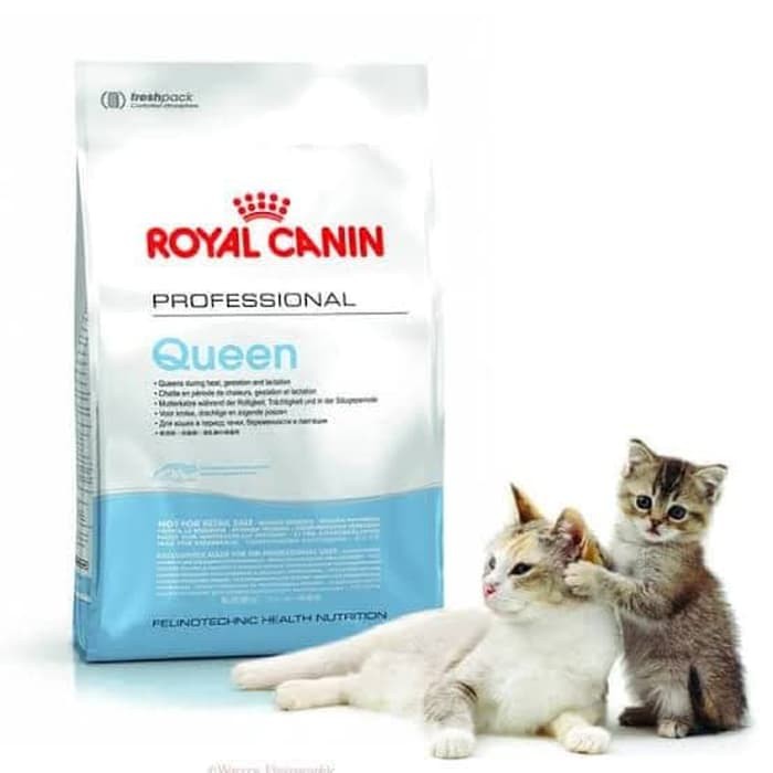 Royal canin Pro queen For Pregnant Breastfeeding Cats royal