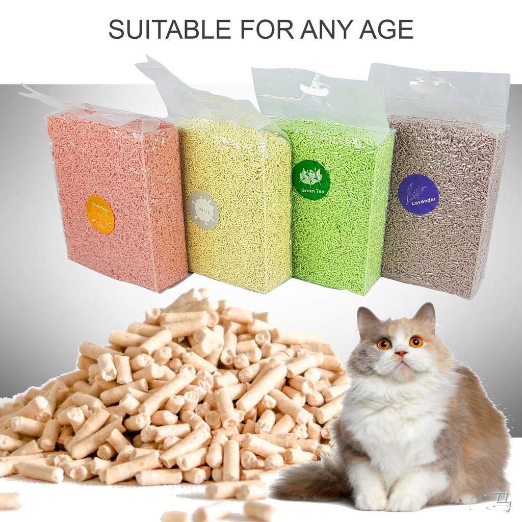 Economy hotsell cat litter