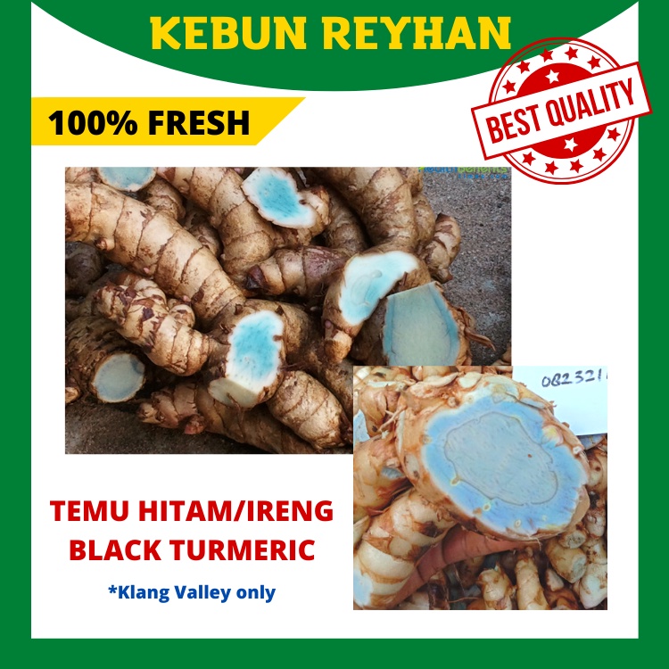  PRE ORDER 100 Fresh Organic 250g Black Turmeric Temu Hitam Temu 