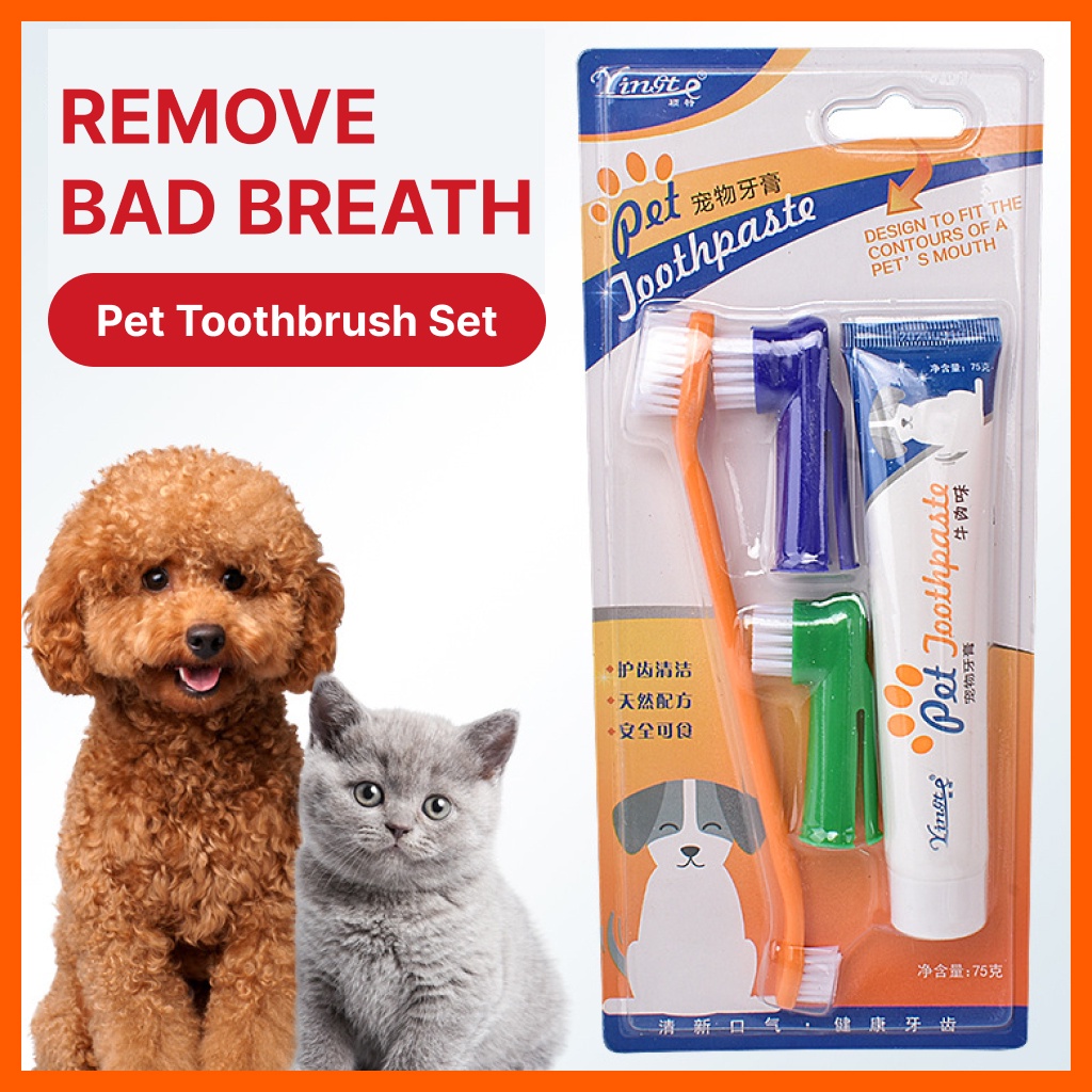 Feline toothbrush and toothpaste 2025