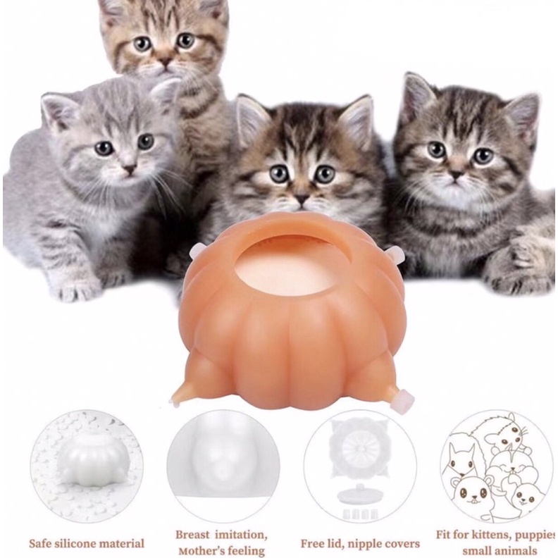 Cat on sale milk feeder