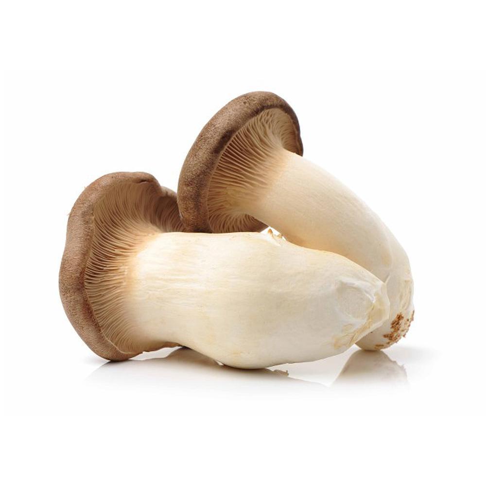 Mini King Oyster Mushroom (200g) Shopee Malaysia