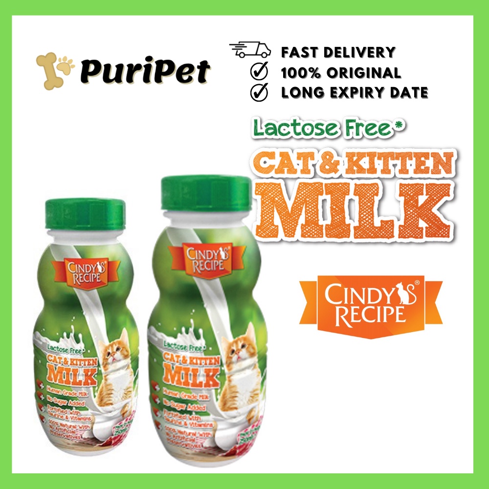 CINDY Recipe Cat & Kitten Milk / Susu 250ml Wet Cat Food Shopee