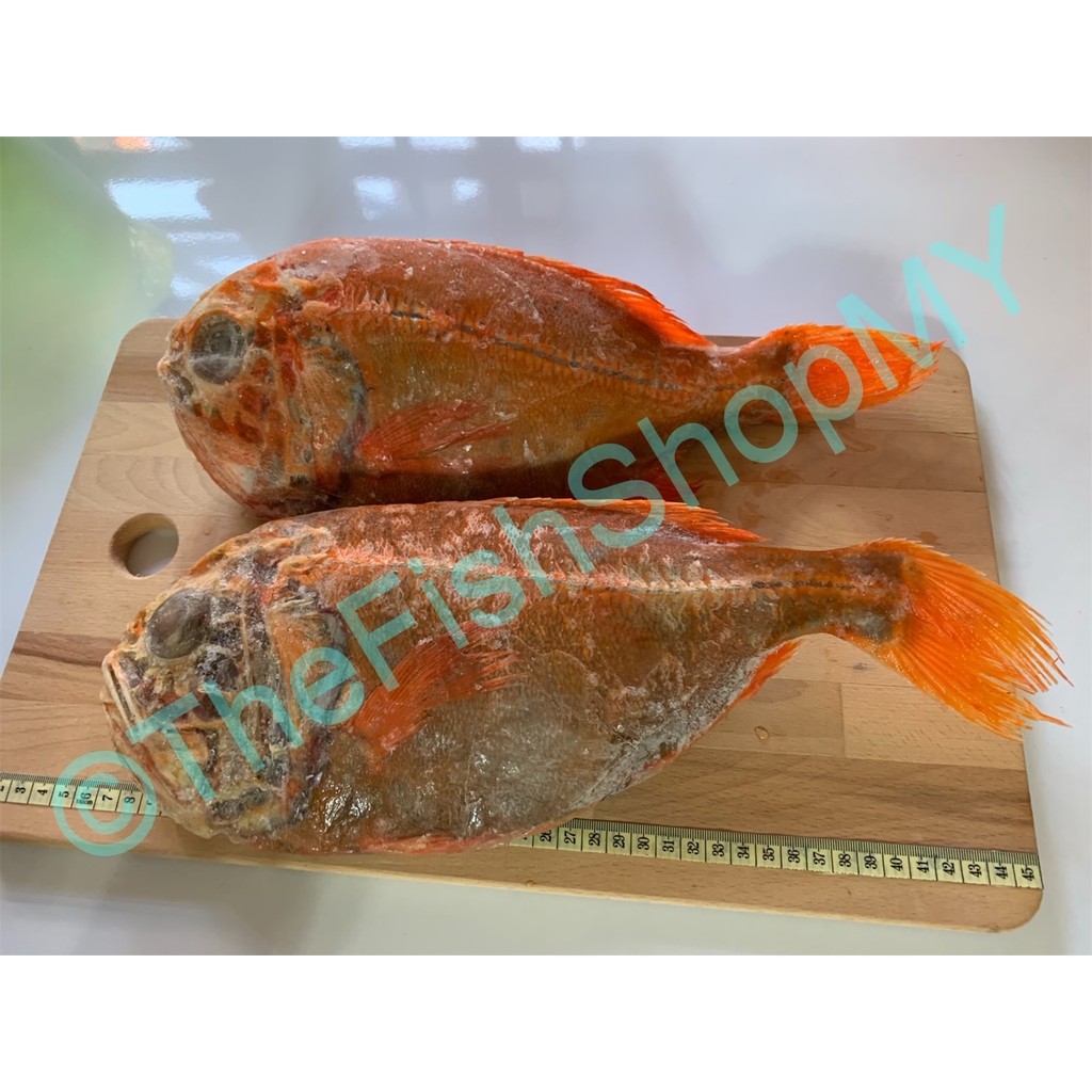 New Zealand Orange Roughy Fish (Vacuum Packed) Shopee Malaysia