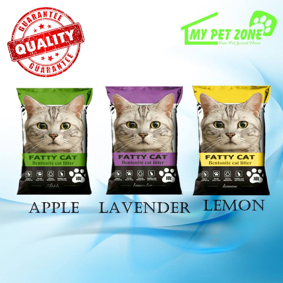 Fatty cat outlet litter