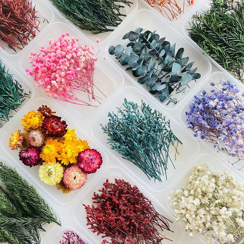 DIY Mixed Natural Dried Flowers Real Dried Flowers DIY Handmade