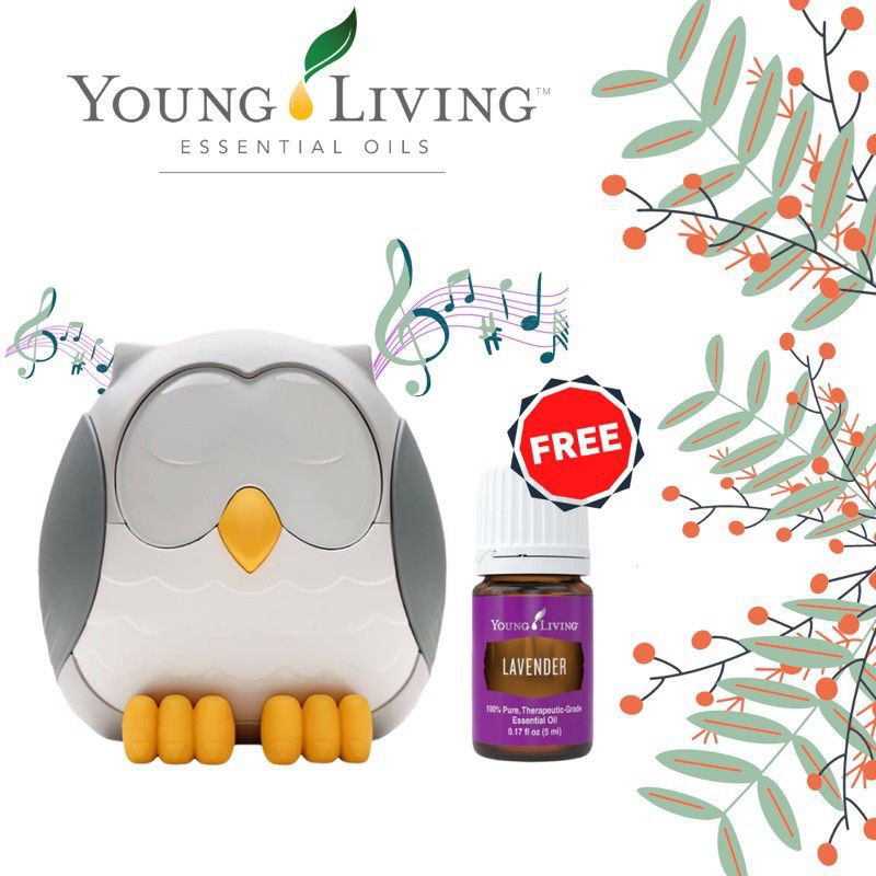 READY STOCK!! OWL DIFFUSER YOUNG LIVING Shopee Malaysia