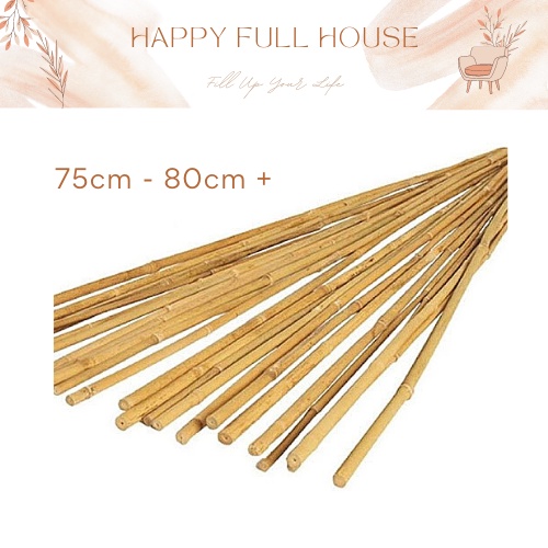 🔥Ready stock🔥75cm Rotan Kanak Kanak Rottan stick 藤鞭藤条 Titicane Natural ...