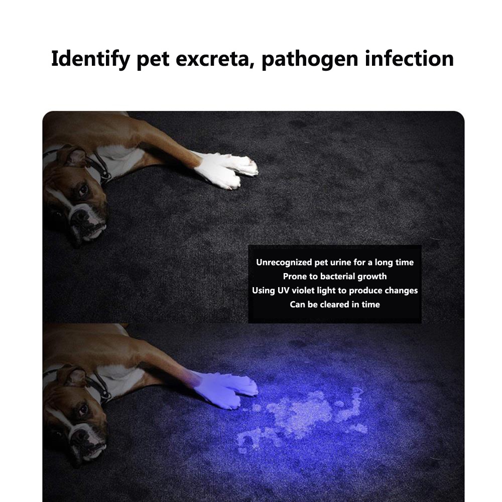 LED UV 395nm 3W Su Base In Alluminio – Diodo Ultravioletto Ad Alta Potenza Per Essiccazione E Illuminazione