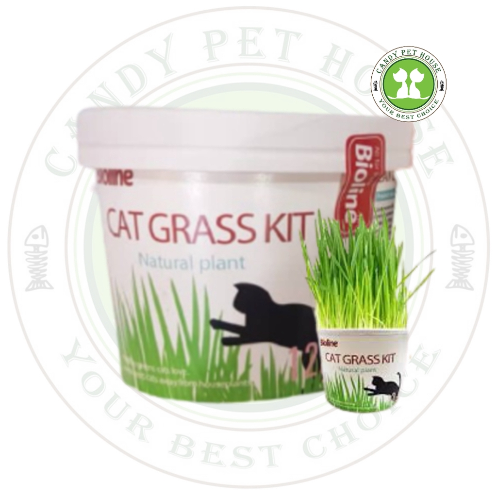 Bioline cat shop grass kit