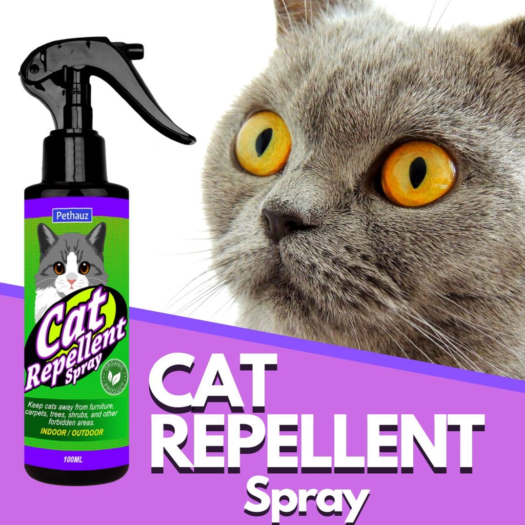 Pet Organics No Stay!® Spray