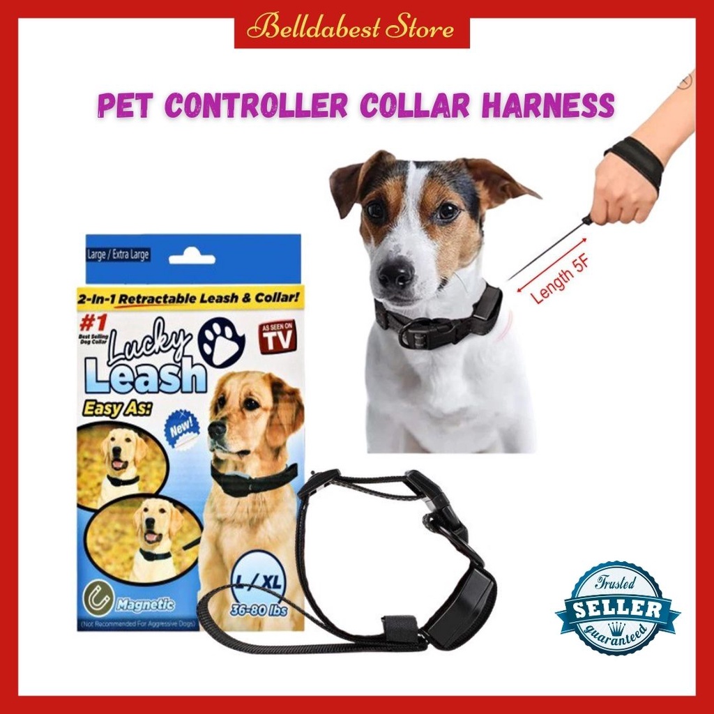 Lucky Pet Dog / Cat Controller Custom Short Sex Collar Harness | Shopee  Malaysia