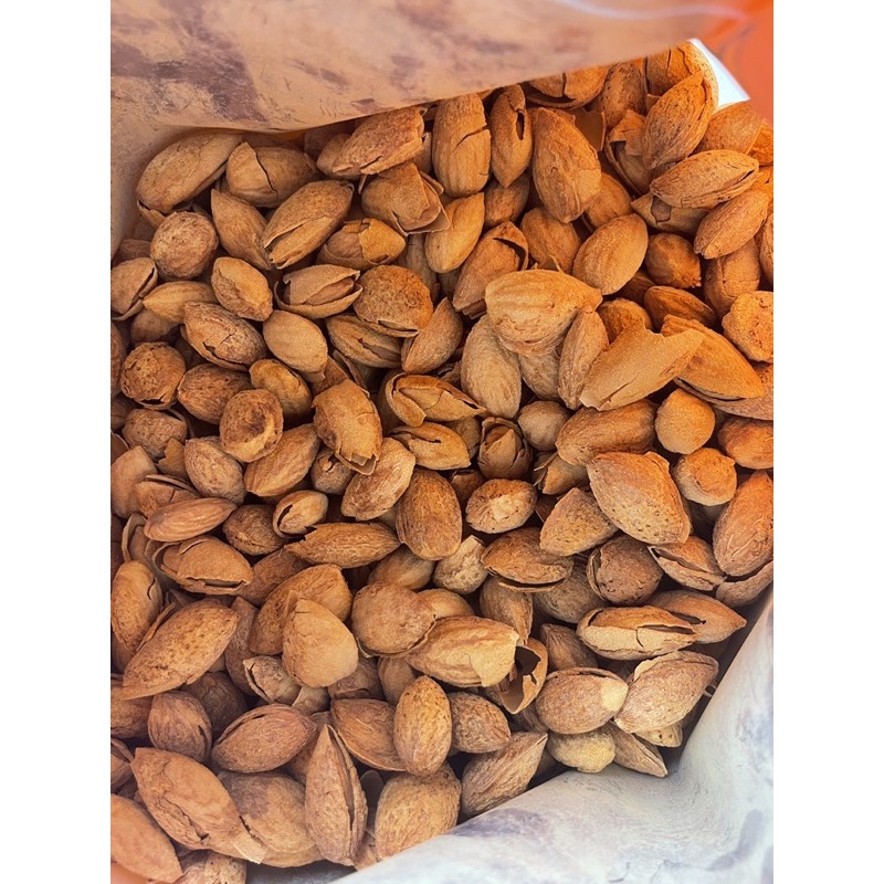 Raw Almond Nut with shell for parrots Shopee Malaysia